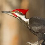 Scopri cos'è FIT PILATES e i suoi benefici per il corpo e la mente