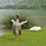 Esercizi Stretching Pilates Esercizi stretching pilates per un corpo flessibile e tonico