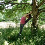 Pilates Esercizi Pavimento Pelvico 5 esercizi Pilates efficaci per tonificare il pavimento pelvico