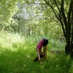 Pinterest Due Du Pilat Scopri idee creative per decorare con Pinterest due du Pilat